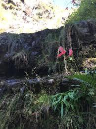 Myburgh's Waterfall Ravine